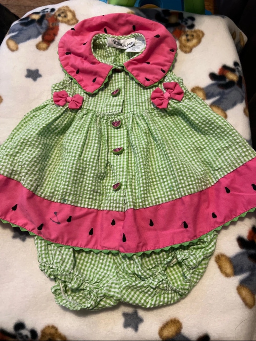 Youngland Green Gingham Dress with Pink Watermelon Trim